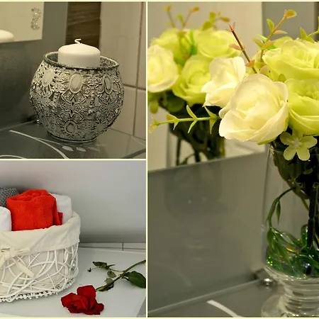 Artemia * 스플리트