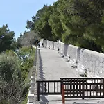 Artemia 스플리트