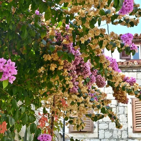 Διαμέρισμα Artemia *