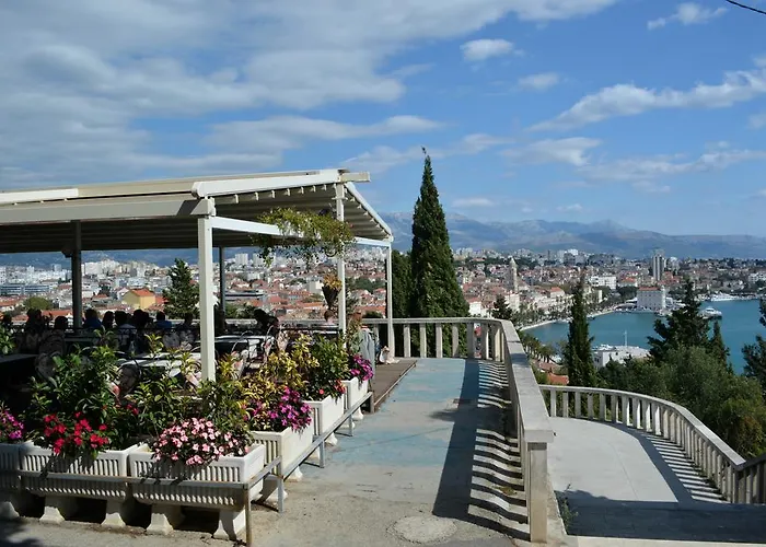 Artemia * 스플리트