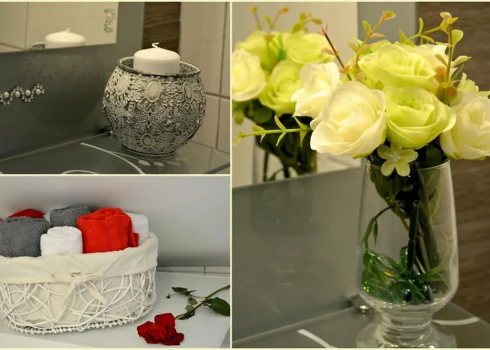 Artemia * 스플리트